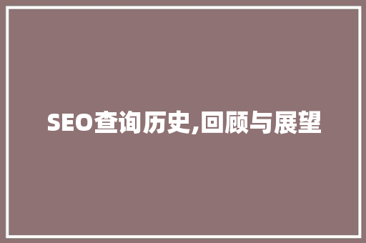 SEO查询历史,回顾与展望