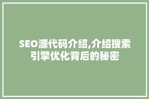 SEO源代码介绍,介绍搜索引擎优化背后的秘密  第1张