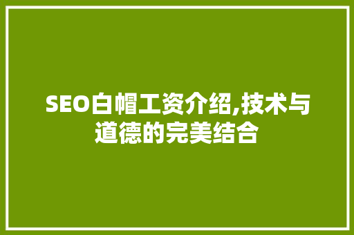 SEO白帽工资介绍,技术与道德的完美结合  第1张