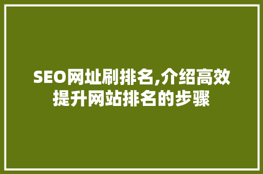 SEO网址刷排名,介绍高效提升网站排名的步骤