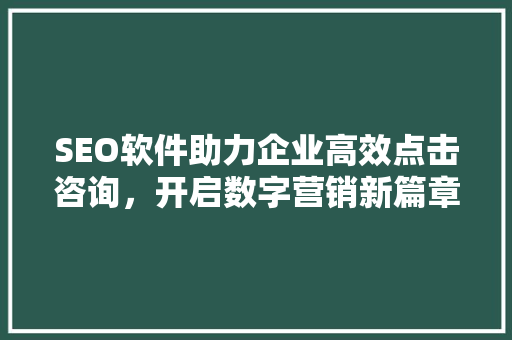 SEO软件助力企业高效点击咨询，开启数字营销新篇章