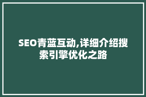 SEO青蓝互动,详细介绍搜索引擎优化之路