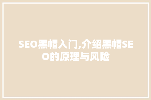 SEO黑帽入门,介绍黑帽SEO的原理与风险