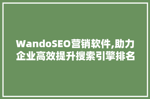 WandoSEO营销软件,助力企业高效提升搜索引擎排名
