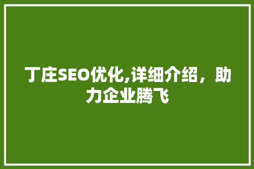 丁庄SEO优化,详细介绍，助力企业腾飞