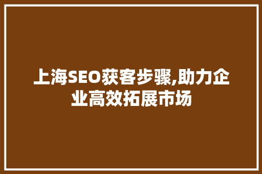 上海SEO获客步骤,助力企业高效拓展市场