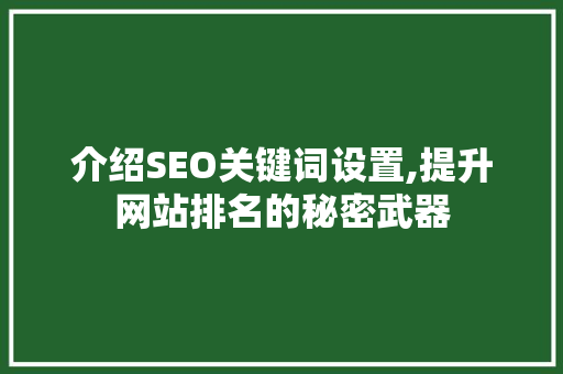 介绍SEO关键词设置,提升网站排名的秘密武器