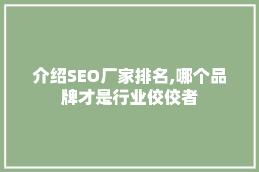 介绍SEO厂家排名,哪个品牌才是行业佼佼者