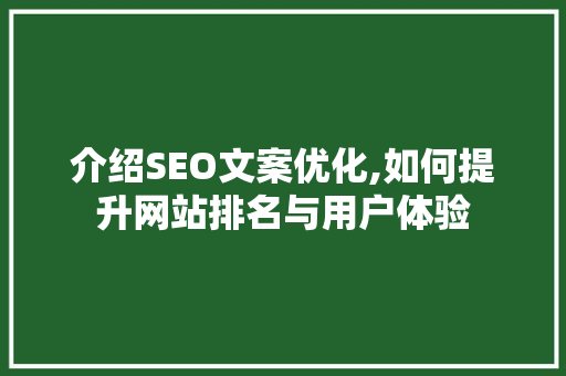 介绍SEO文案优化,如何提升网站排名与用户体验