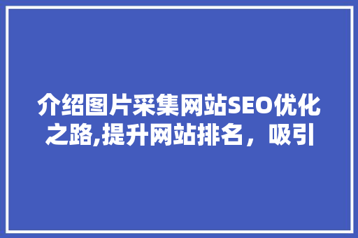 介绍图片采集网站SEO优化之路,提升网站排名，吸引精准流量