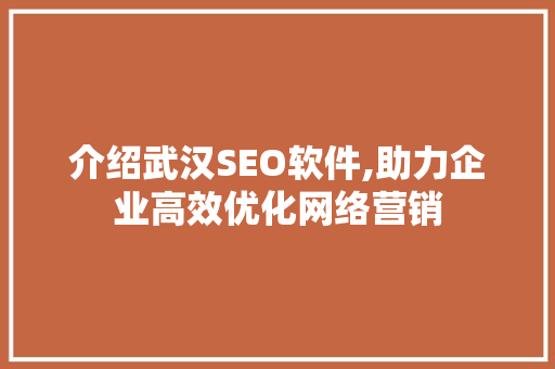 介绍武汉SEO软件,助力企业高效优化网络营销