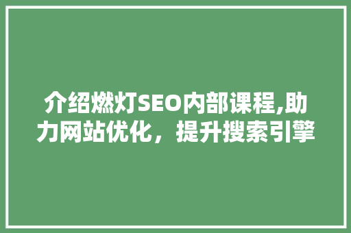 介绍燃灯SEO内部课程,助力网站优化，提升搜索引擎排名