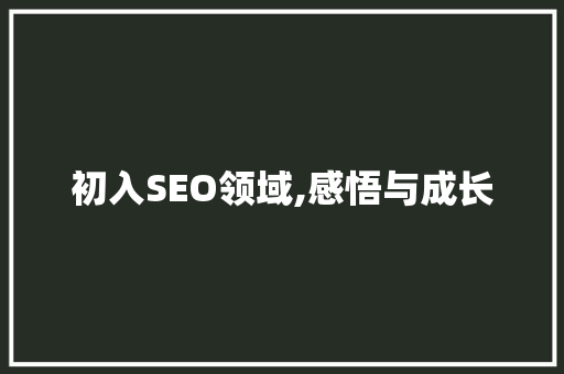 初入SEO领域,感悟与成长