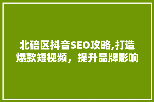 北碚区抖音SEO攻略,打造爆款短视频，提升品牌影响力