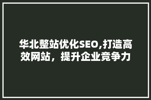 华北整站优化SEO,打造高效网站，提升企业竞争力