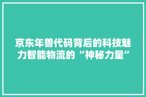 京东年兽代码背后的科技魅力智能物流的“神秘力量”