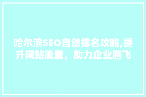 哈尔滨SEO自然排名攻略,提升网站流量，助力企业腾飞