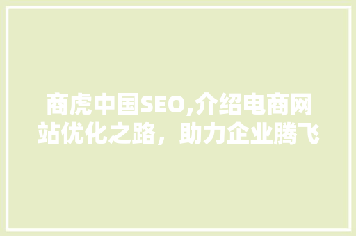 商虎中国SEO,介绍电商网站优化之路，助力企业腾飞