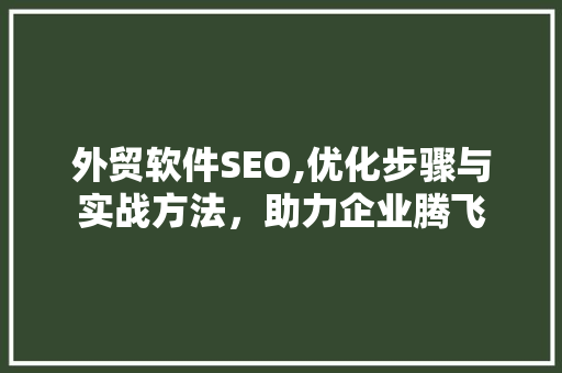 外贸软件SEO,优化步骤与实战方法，助力企业腾飞
