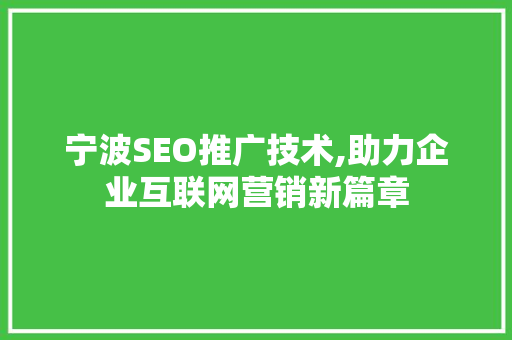 宁波SEO推广技术,助力企业互联网营销新篇章