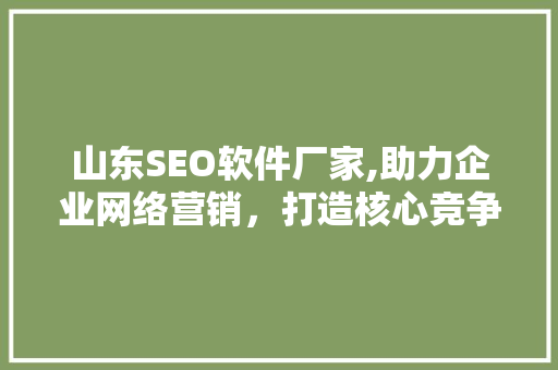 山东SEO软件厂家,助力企业网络营销，打造核心竞争力