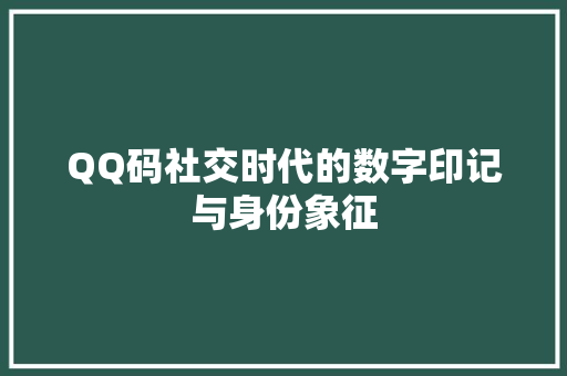 QQ码社交时代的数字印记与身份象征