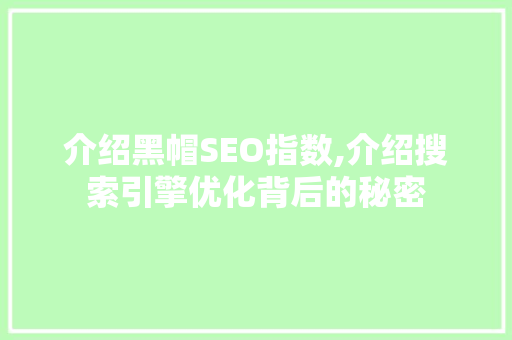介绍黑帽SEO指数,介绍搜索引擎优化背后的秘密