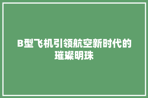 B型飞机引领航空新时代的璀璨明珠