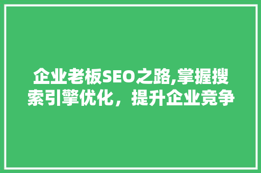 企业老板SEO之路,掌握搜索引擎优化，提升企业竞争力