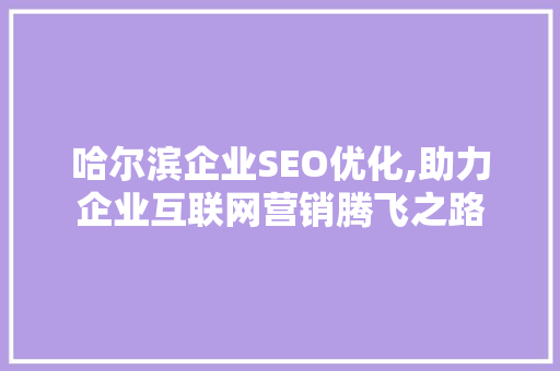 哈尔滨企业SEO优化,助力企业互联网营销腾飞之路