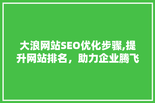 大浪网站SEO优化步骤,提升网站排名，助力企业腾飞