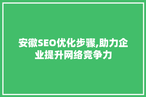安徽SEO优化步骤,助力企业提升网络竞争力