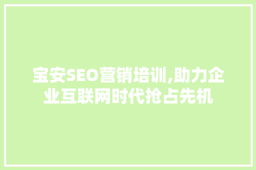 宝安SEO营销培训,助力企业互联网时代抢占先机
