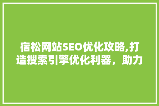 宿松网站SEO优化攻略,打造搜索引擎优化利器，助力企业腾飞