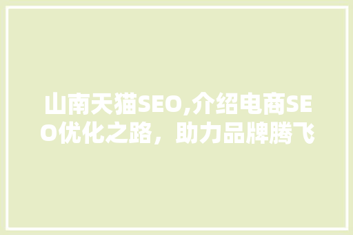 山南天猫SEO,介绍电商SEO优化之路，助力品牌腾飞