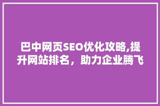 巴中网页SEO优化攻略,提升网站排名，助力企业腾飞