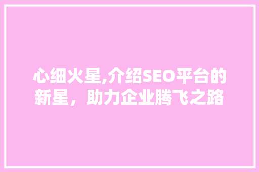 心细火星,介绍SEO平台的新星，助力企业腾飞之路  第1张