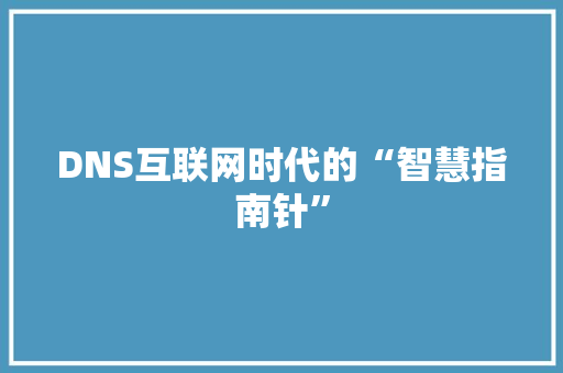 DNS互联网时代的“智慧指南针”