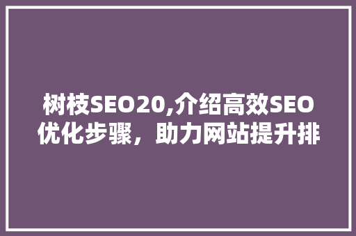 树枝SEO20,介绍高效SEO优化步骤，助力网站提升排名  第1张