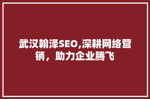 武汉翰泽SEO,深耕网络营销，助力企业腾飞