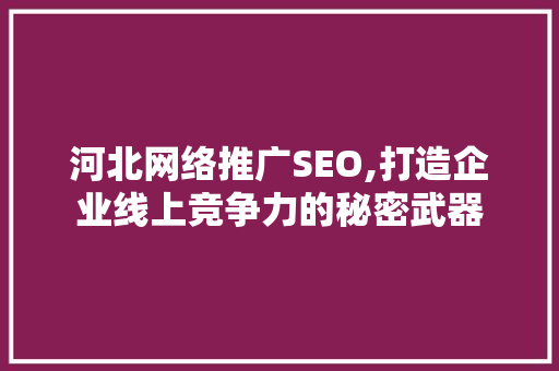 河北网络推广SEO,打造企业线上竞争力的秘密武器