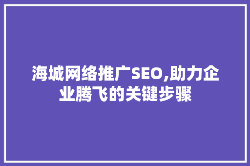 海城网络推广SEO,助力企业腾飞的关键步骤