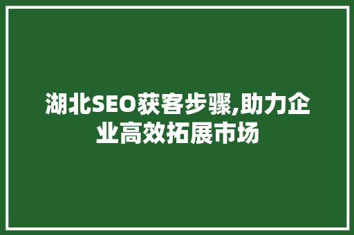 湖北SEO获客步骤,助力企业高效拓展市场
