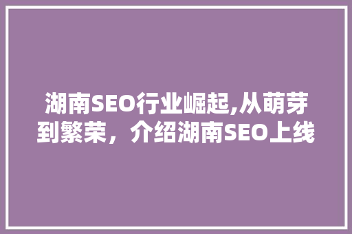 湖南SEO行业崛起,从萌芽到繁荣，介绍湖南SEO上线时间与成长历程