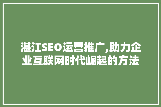 湛江SEO运营推广,助力企业互联网时代崛起的方法
