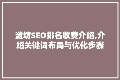 潍坊SEO排名收费介绍,介绍关键词布局与优化步骤