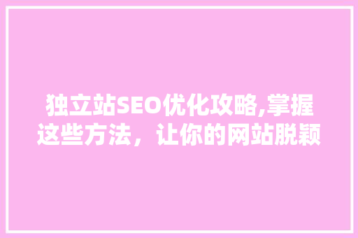 独立站SEO优化攻略,掌握这些方法，让你的网站脱颖而出！