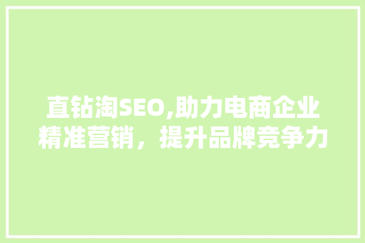 直钻淘SEO,助力电商企业精准营销，提升品牌竞争力