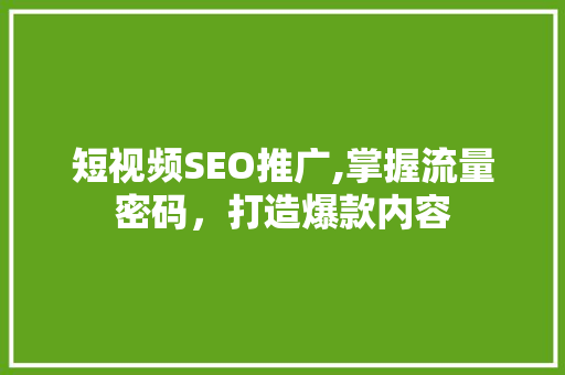 短视频SEO推广,掌握流量密码，打造爆款内容
