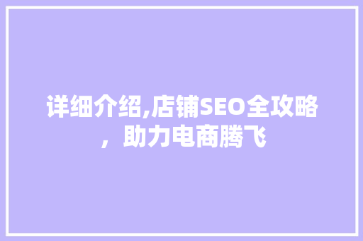 详细介绍,店铺SEO全攻略，助力电商腾飞